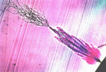 HVA45TD,<a href='http://www.dlhyyoga.com/Ppzq/b2.html'>B2HV</a>