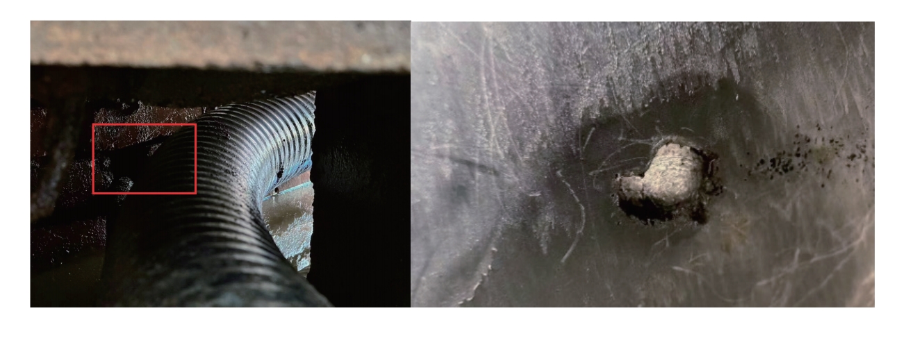 解剖確認(rèn)外護(hù)套破損情況