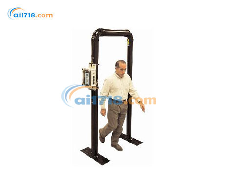 TPM-903B可移動(dòng)門式輻射監(jiān)測儀