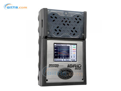 MX6復(fù)合氣體檢測儀