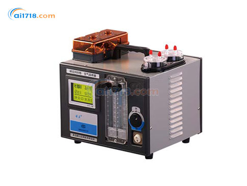 2020型空氣采樣器（轉(zhuǎn)子流量計(jì)）