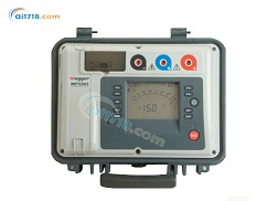 MIT520/2絕緣電阻測(cè)試儀